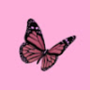 Meet your Posher, Shira